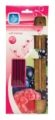 PAN AROMA 40 Pack Incense Sticks & Holder - Wild Berries
